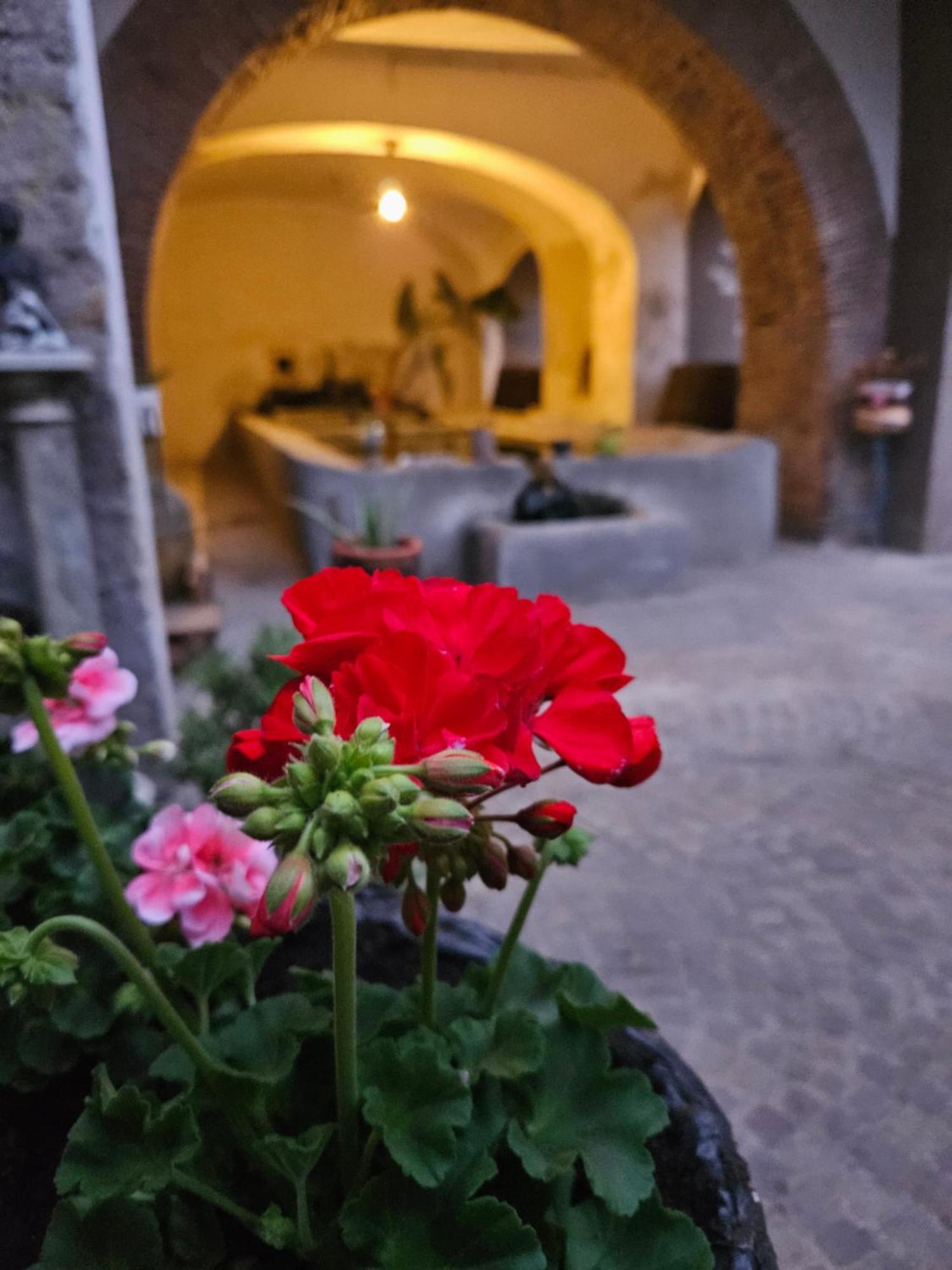 L' Antico Lavatoio Bed & Breakfast Rignano Flaminio Exterior photo